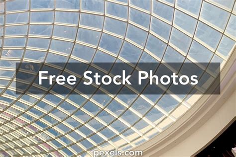 Chadstone Photos, Download The BEST Free Chadstone Stock .